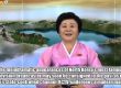  Свалят от екран Розовата дама на Северна Корея