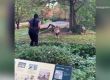  Жена влезе при лъва в зоопарк в САЩ