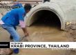 Извадиха 4-метрова кралска кобра от канализацията в Тайланд 