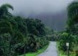 Ботанически градини на Оаху, Хавай
